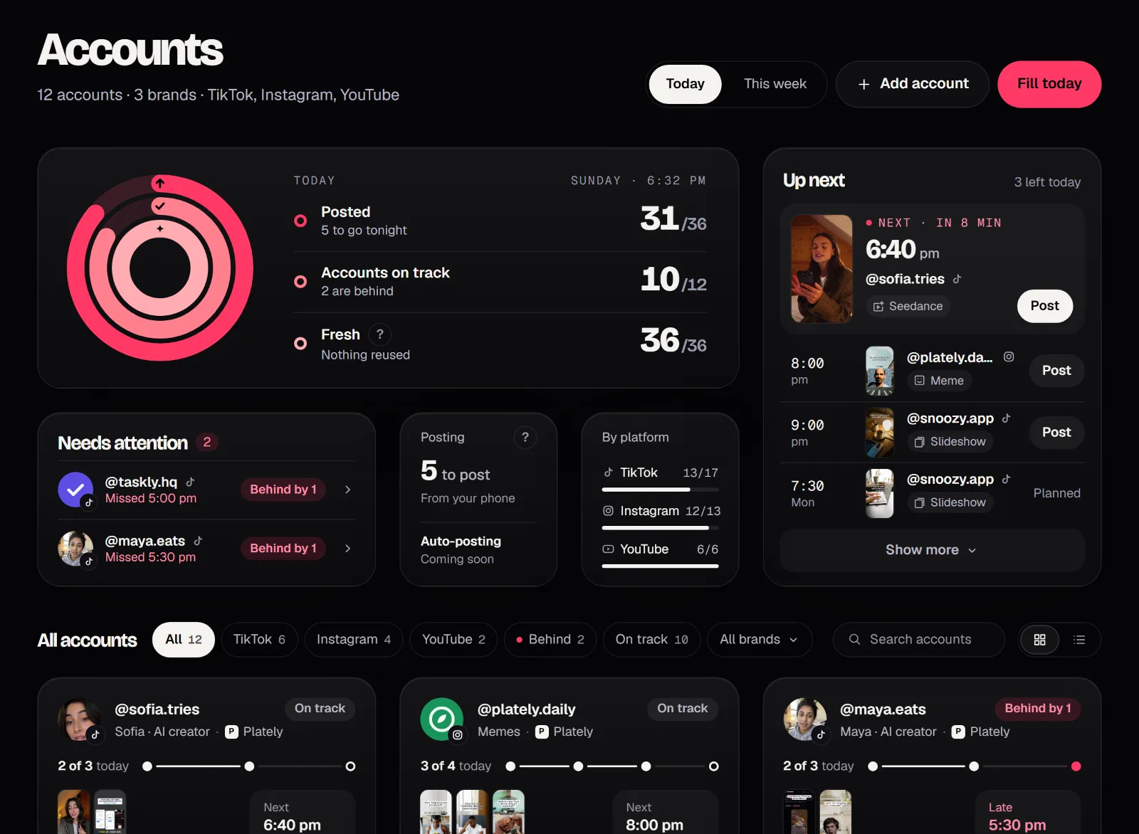The Accounts page: today's posts, accounts on track, what goes out next, and a card for each account.